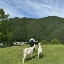 추동목장 이미지