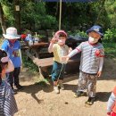 본아미강남어린이집 이미지