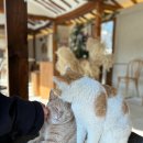 어느주택 이미지