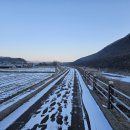 영농조합 비무장지대 이미지