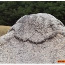 신항묘 이미지