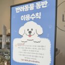 여의도 동물병원 은하점 | 영등포카페 신길역 디저트맛집 CAFE DE LIV 카페 드리브 영등포점 후기