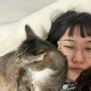 촌놈스튜디오 이미지