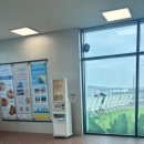 1카 | 제부도 서해랑 케이블카 후기｜삼일절 3+1 특가·가격·4시 할인 정보 정리