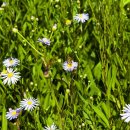 시원목장 이미지