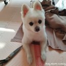 성대세탁 이미지