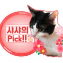 암돼지한마리 암소한마리 이미지