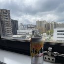 [일본_기타큐슈] 3박 4일 Day 2. (1) 기타큐슈 시내투어 라멘맛집 이시다이치류, 탄가시장, 토토박물관...