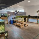 다솜울작은도서관 | [경산/대구근교] 아이랑 가볼만한곳 실내동물원 "다솜생태체험관" 방문 후기