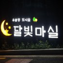 우암동 도시숲 | 우암동 도시숲에서 바라본 부산 야경 사진찍기 좋은 스팟!