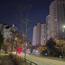 단지내월드부동산공인중개사사무소 이미지