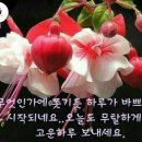 만사형통 이미지