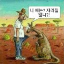 나무특별시 이미지