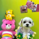 개운한날 이미지