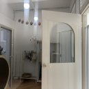 함께냥 성남점 이미지