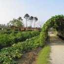 대화농업체험공원 이미지