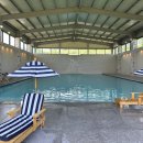 개들랜드 이미지