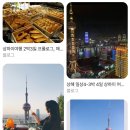 더조은여행사 이미지