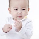 엔디에프