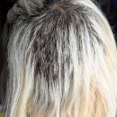 우리원예클리닉 이미지