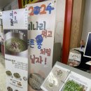 여울미나리 이미지