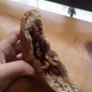 브레드샵(BREAD#) 이미지
