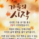 키드움 이미지