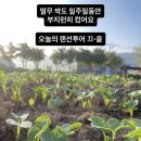 동락원