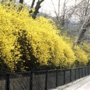 고양한우영농조합법인 이미지