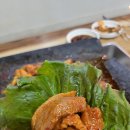 해적선생오리 이미지