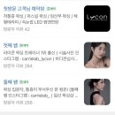 일산왁싱 '캐리랩' 남자 눈썹왁싱 후기 (+왁싱수강·왁싱교육 가능한 곳)
