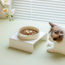 개과천선 이미지