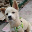 진옥농장 이미지