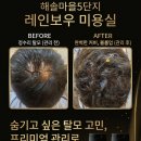 레인보우 염색전문점 네이버블로그
