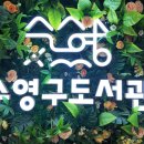 수영구어린이도서관 네이버블로그