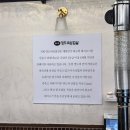 대구 동성로 고기집 영도씨삼겹살 솔직후기
