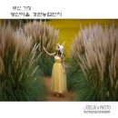 광산마을 이미지