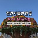 GS25 천안해밀점 네이버블로그