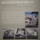 한국근대조선발상유적 | [부산] 국립해양박물관 - 조개, かい : 패각에 담긴 한국과 일본의 흔적