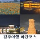 삼천대포 | 경주 가볼만한곳 야경명소 첨성대, 동궁과 월지, 월정교