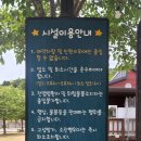 천문대오토캠핑장오락실 네이버블로그