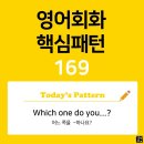 [초중급편 169] 'Which one / do you V~?'(어느 쪽을 V동사하나요?) 이미지