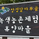 양정달마루마을 티스토리