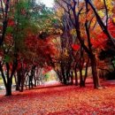 두레캠핑장 이미지