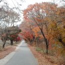 풍암제길 이미지