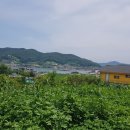 지족공인중개사사무소 이미지