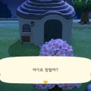 쭈니네 이미지