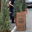 계산동 루츠프레소(Roots Presso) 커피로스터스, 계산역 근처 분위기 있는 감성 카페