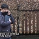 사바이 이미지