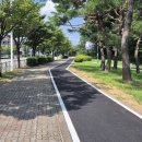 흥덕자전거도로 이미지